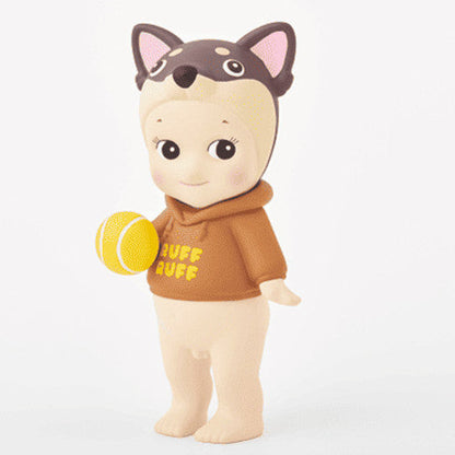 Dog Time Mystery Box