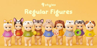 Dog Time Mystery Box