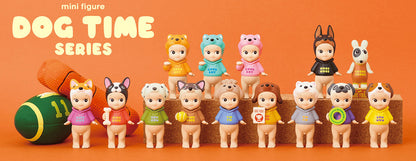 Dog Time Mystery Box